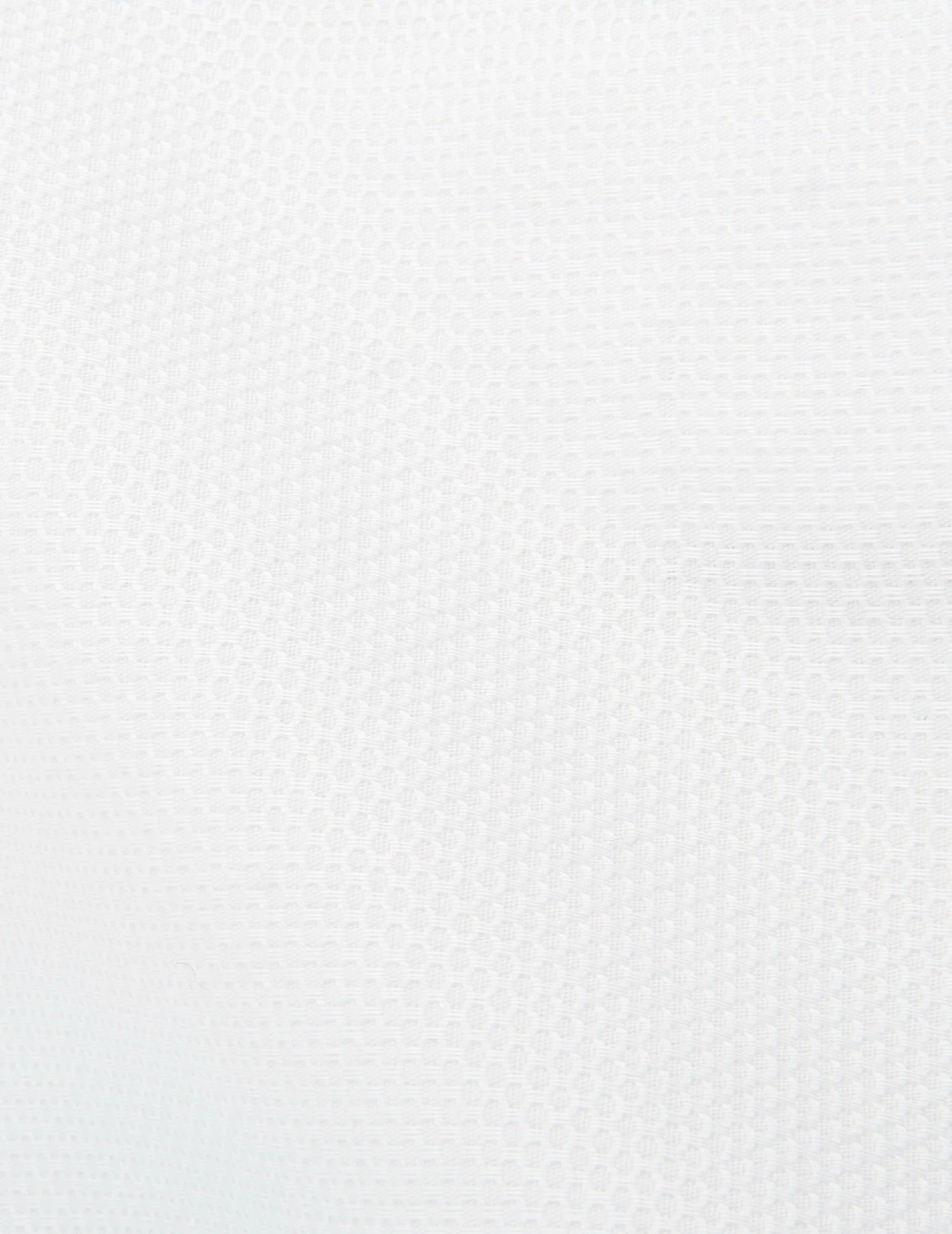 Chemise Carl blanche - Image 5