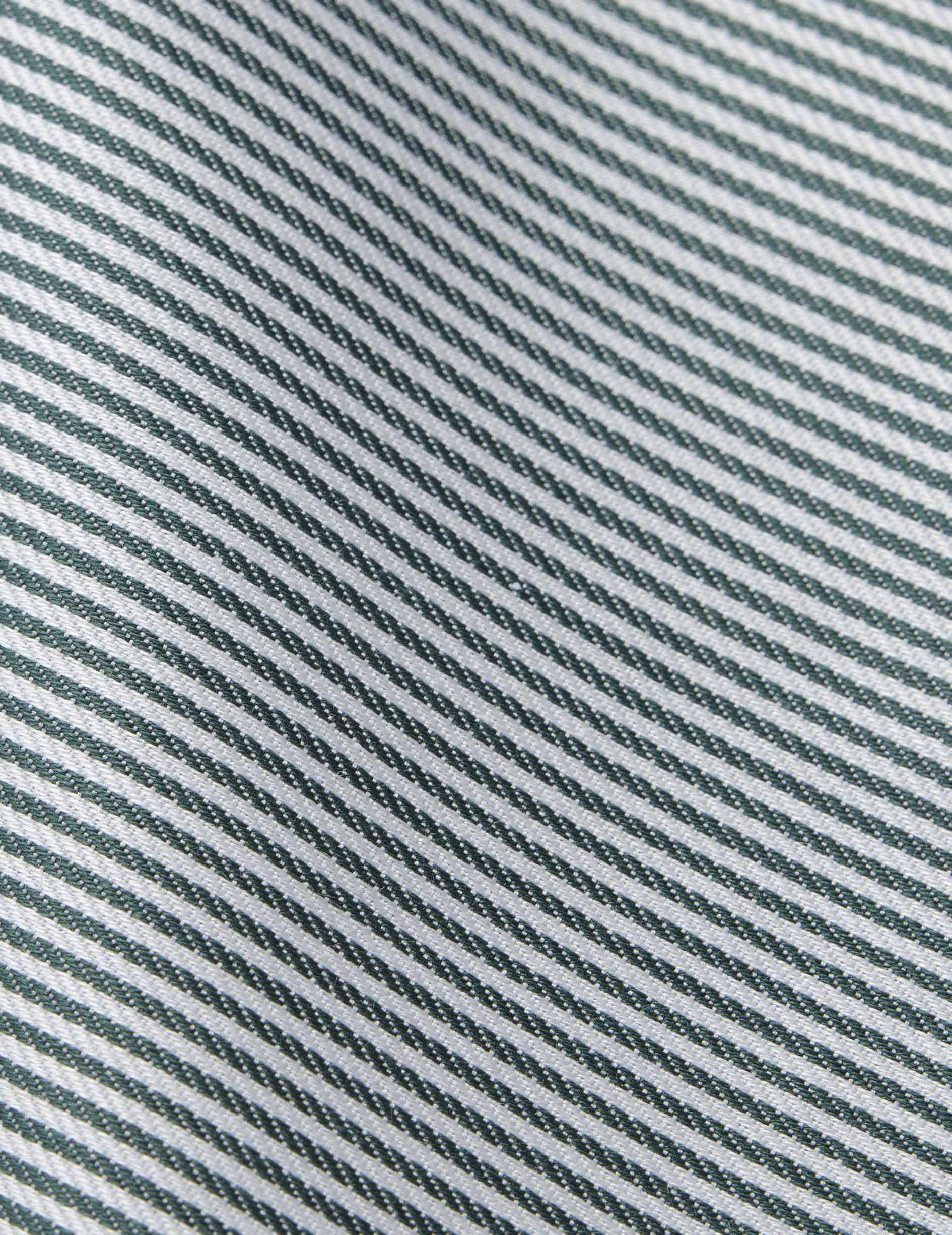 Chemise Carl Voyage rayée verte - Image 5